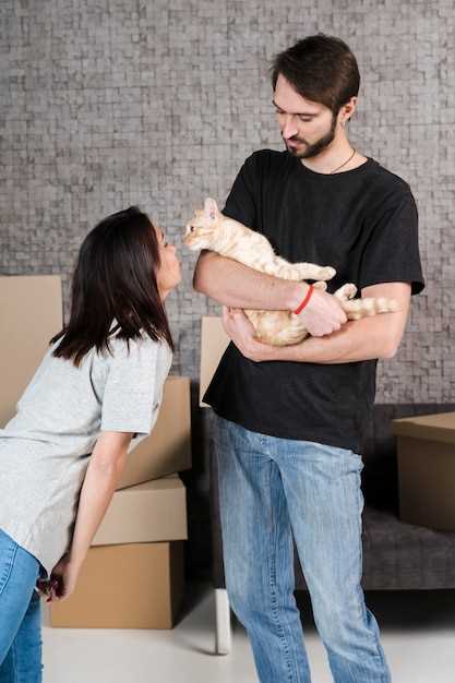 Güvenli Bir Taşınma İçin Eşyalarınızı Nasıl Paketlemelisiniz